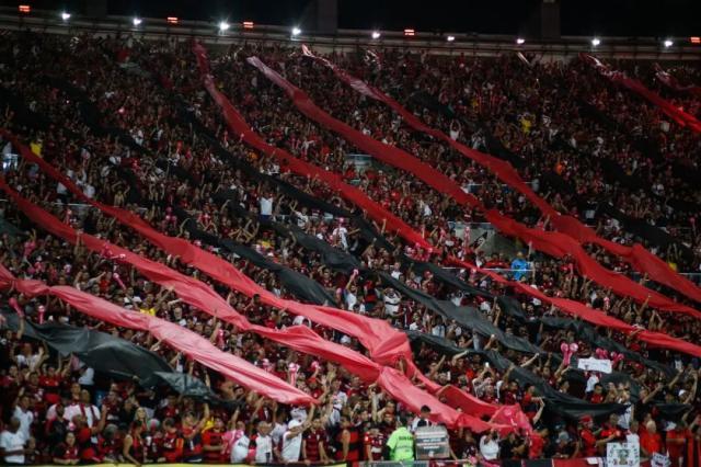 1667988604674099743.jpg 2.jpg